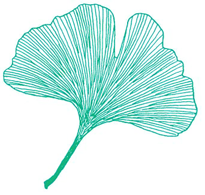 Ginkgo leaf